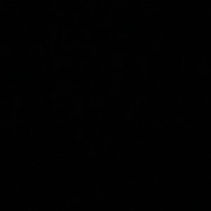 Meet your Posher, Mya